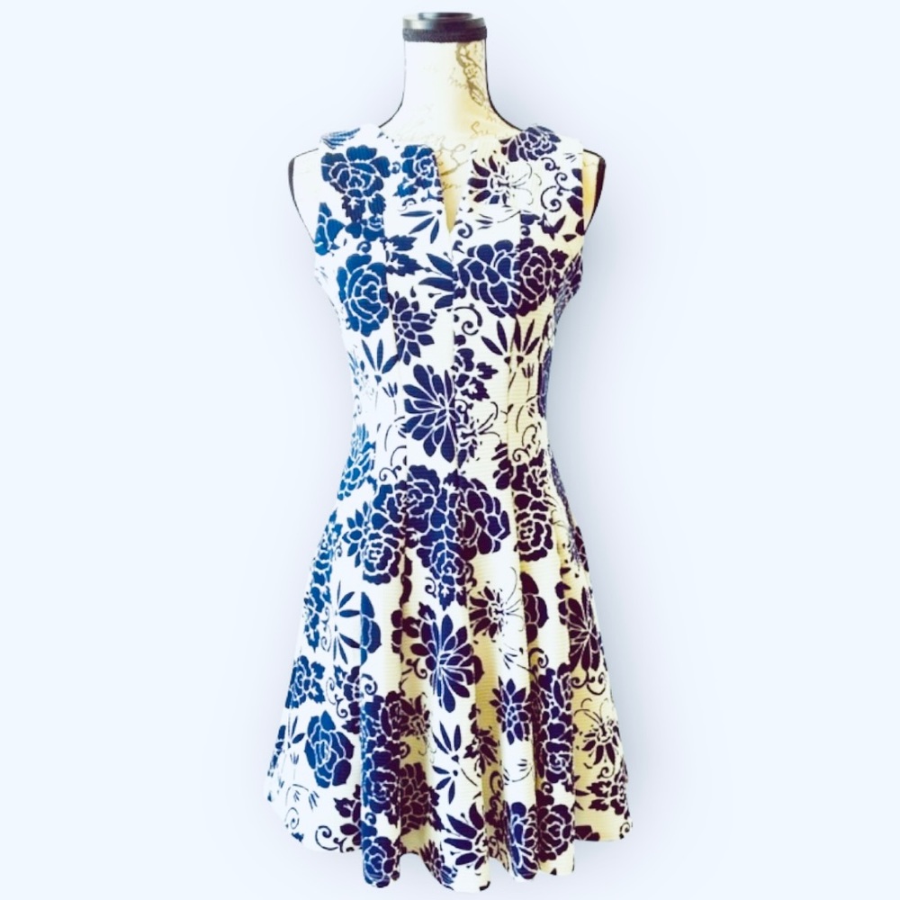 Danny & Nicole Fit and Flare Dress